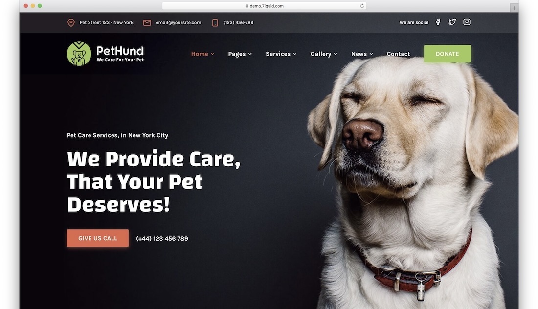 Top-rated Web Hosting Solutions for Pet-focused Sites